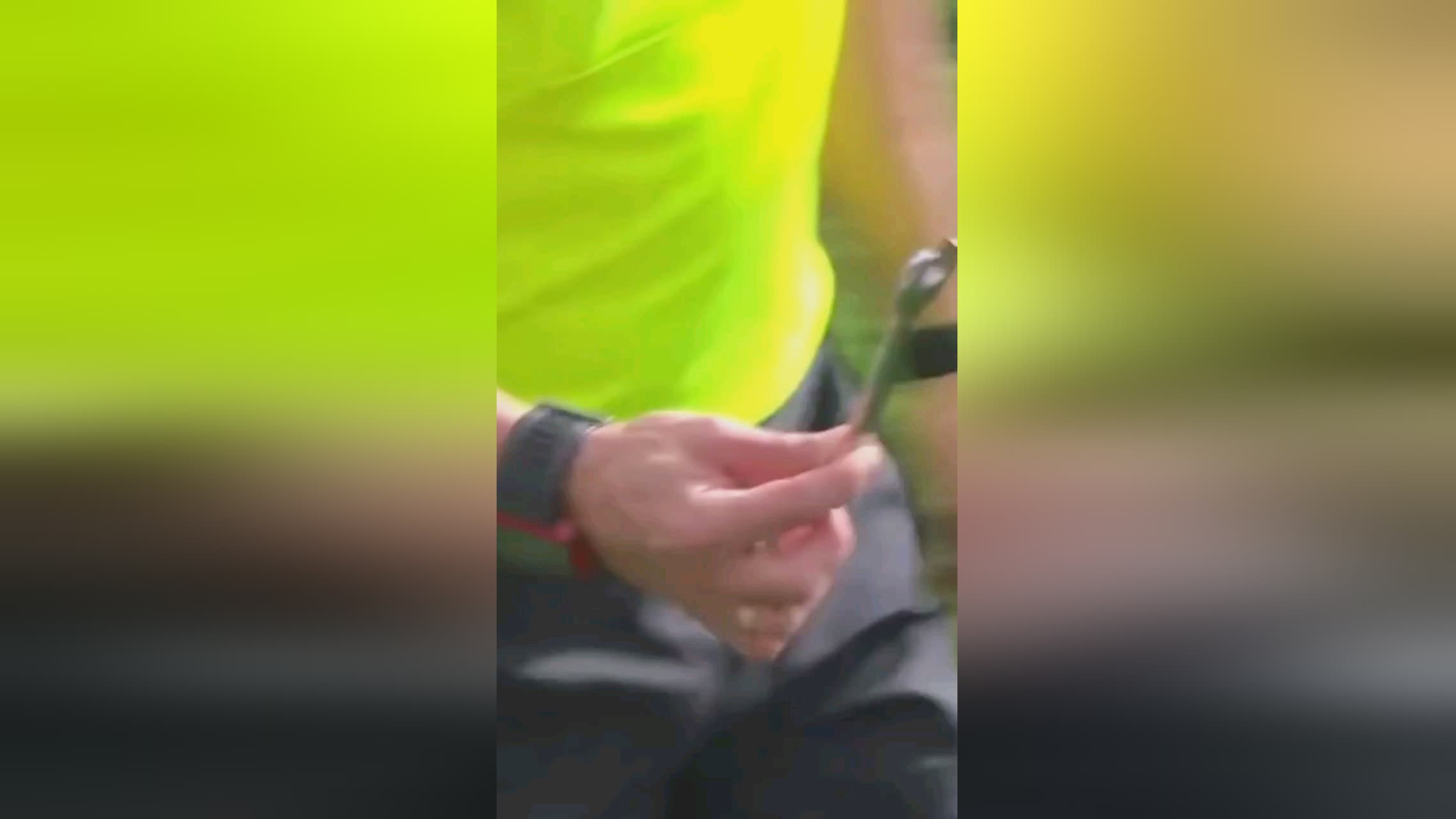 使他成为羽